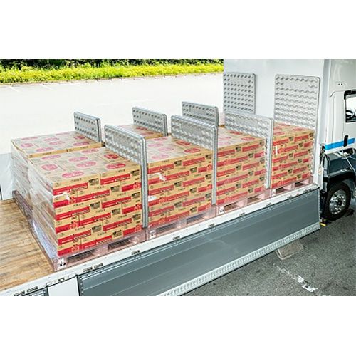 トラックボード トラックボードPro 9サイズ（エコタイプ）10枚入（送料無料