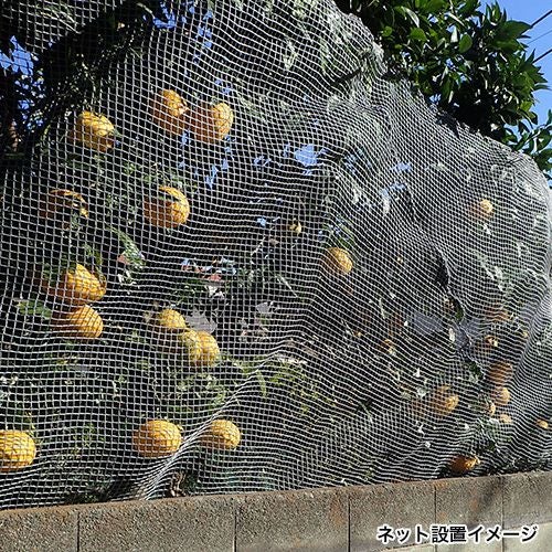 飛散防止・剥落防止ネット (10mm目・15mm目・40mm目) 特注仕様可・幅